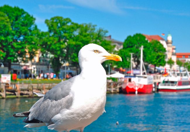 Urlaub im Ostseebad Warnemünde